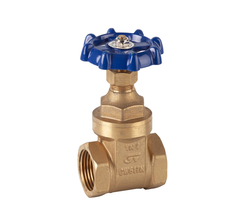 Valvula compuerta 2´´