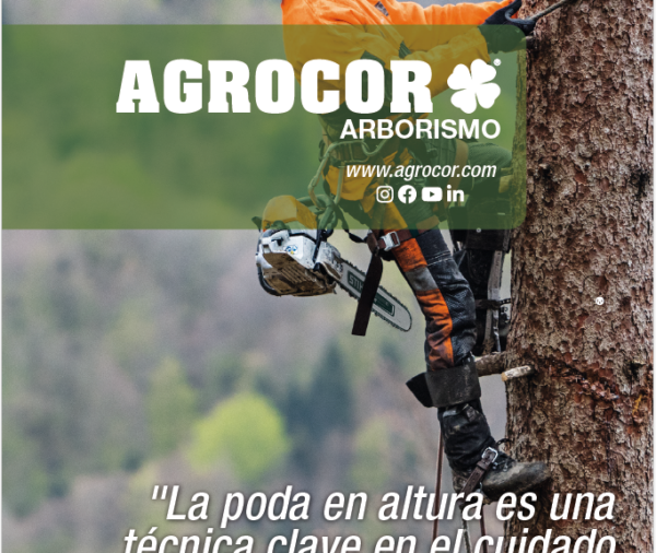 Arboricultura