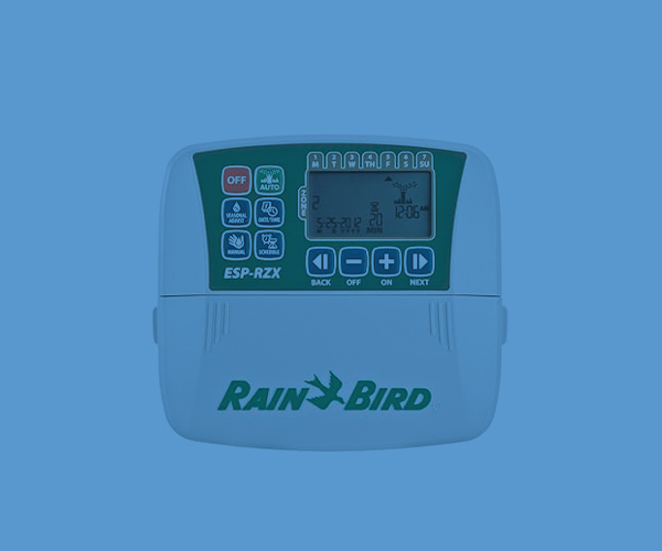 Programadores y contadores