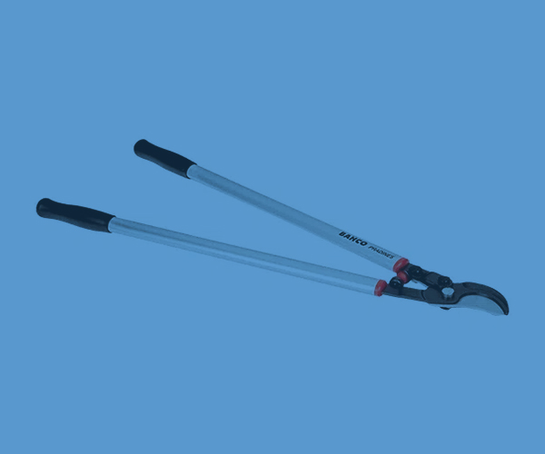 Tijeras manuales 2 manos