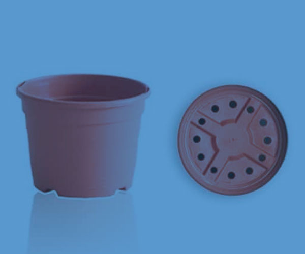 Macetas y contenedores