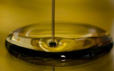 El Gobierno aprueba la norma de calidad del aceite de oliva español. AOVE