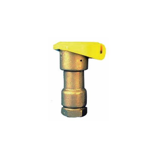 Boca riego rain bird 1'' 5lrc-bsp