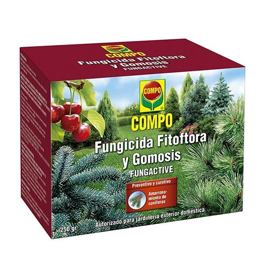 Fungicida fitoftora y gomosis