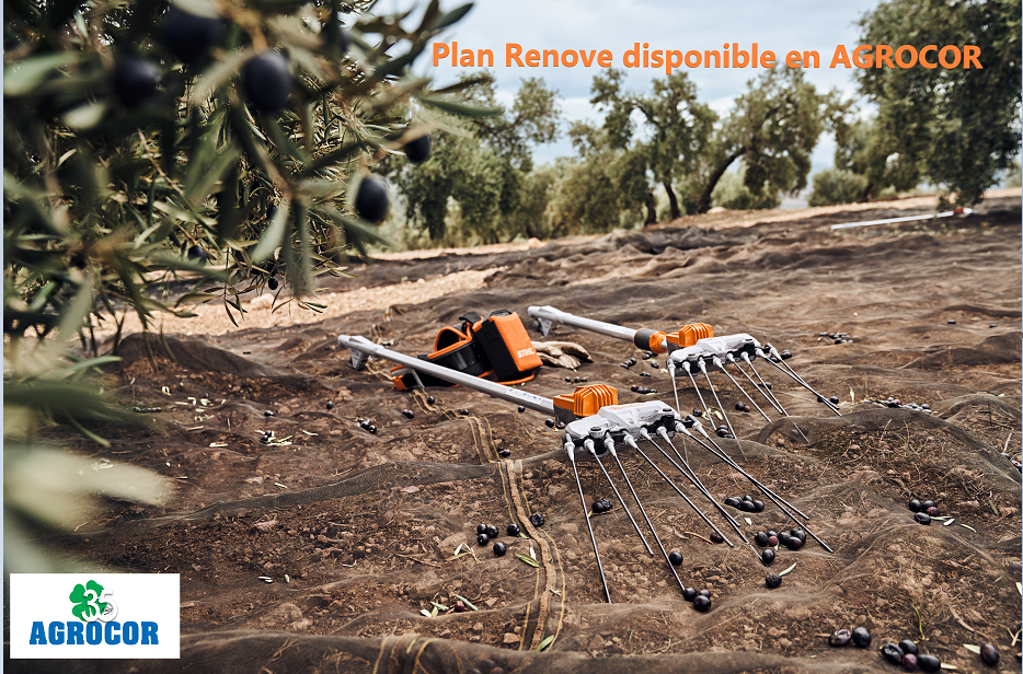 Plan Renove vareador stihl batería spa 130