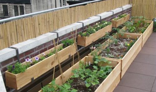 huerto en terraza o ático fácilmente Instrumentos para limpieza