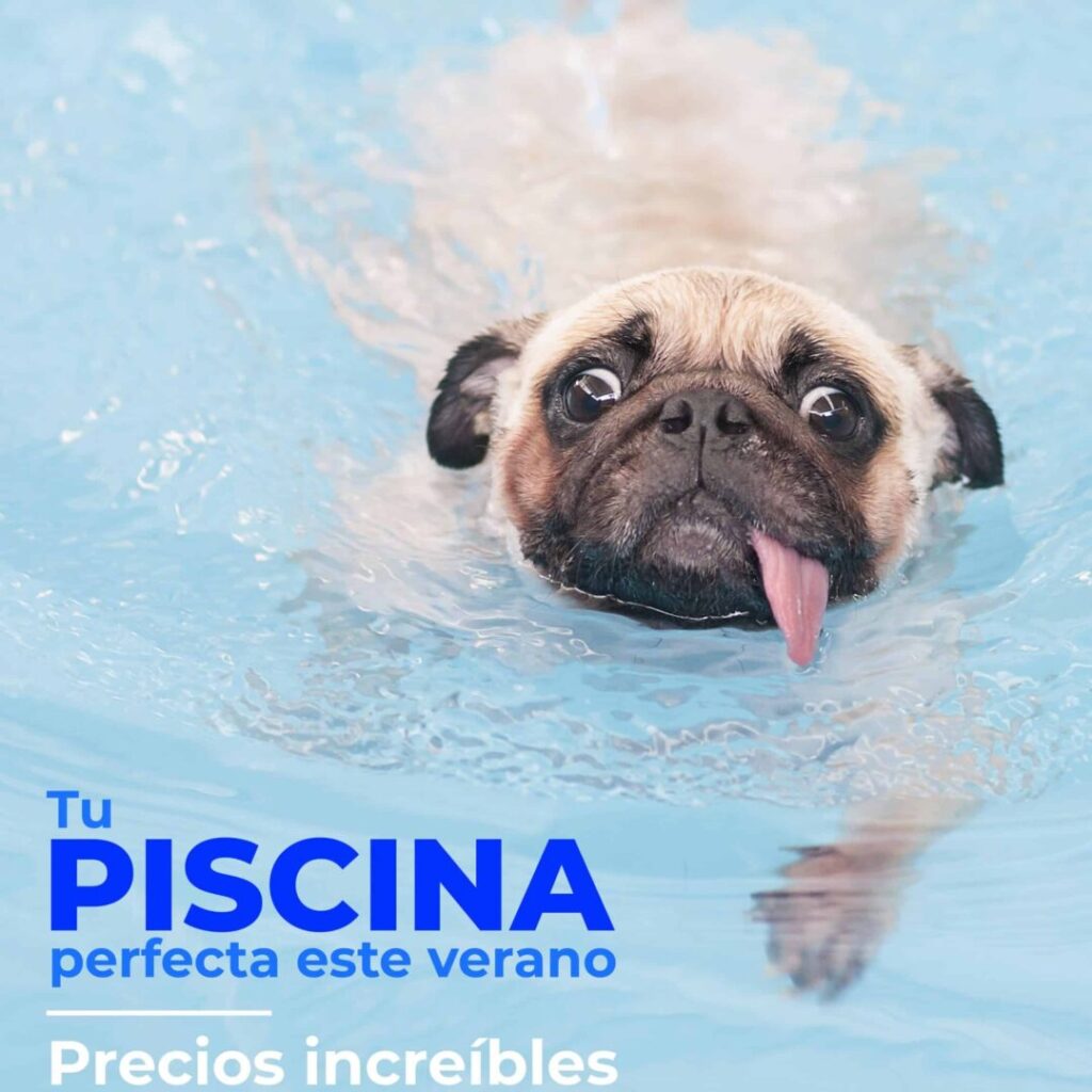 ¡Aprovecha el Plan Renove de Limpiafondos Zodiac en Agrocor! Si tu antiguo limpiafondos ya no rinde como antes o estás buscando una opción más eficiente y moderna, esta es tu oportunidad ideal para actualizar tu equipo y disfrutar de una piscina impecable